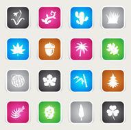 Multicolor Icons - Botanic