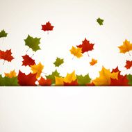 Vector autumn leaves N9