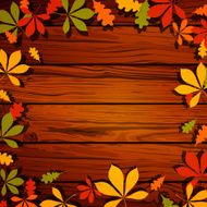 Vector autumn leaves N11