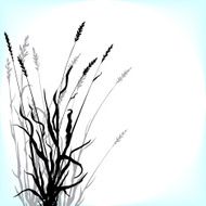 Silhouettes of grass N3