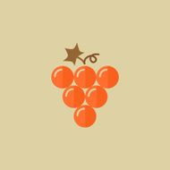 Grapes Food Flat Icon N2