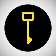 Key Icon N19