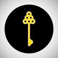Key Icon N20
