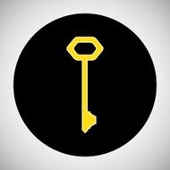 Key Icon N21