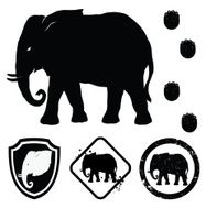 Elephant N65