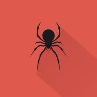 Spider N30
