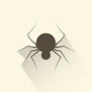 Spider N31