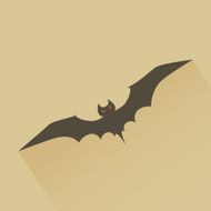 Bat N8
