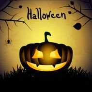 Halloween background with pumpkins and spider