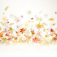 Vector autumn leaves N12