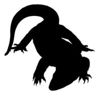 Lizard silhouette