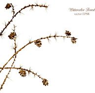 watercolor branches of larch