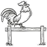 crowing rooster N2