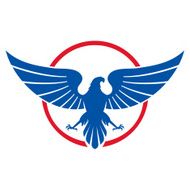Eagle icon N7