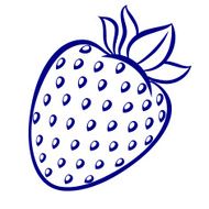 Strawberry N20