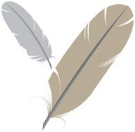 vector - bird feathers