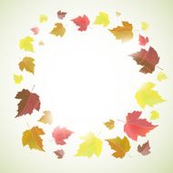 Autumn background with leaves N43