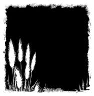 Pampas Grass Grunge Background