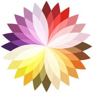 Flower color lotus silhouette for design