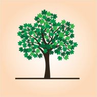 summer tree N2