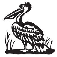 bird pelican - black vector illustration