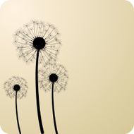 Dandelions N14
