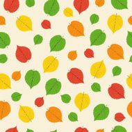 pattern from autumn leaves