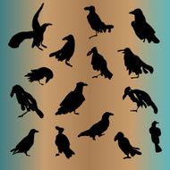 Set of ravens ink drawn silhouettes