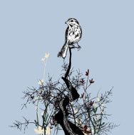 Sparrow Flourish
