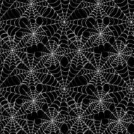 Spider web seamless pattern N2