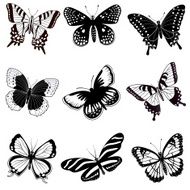 North American butterflies