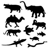 Animals N85