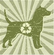 Animal Shelter Dog