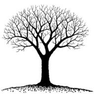 Bare tree N2