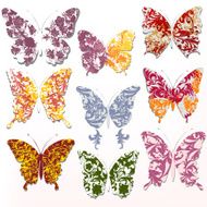 Vector set of abstract swirl butterflies