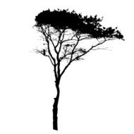 Tree Silhouette Isolated on White Backgorund Vecrtor Illustrati N7