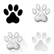 Animal Footprints N3