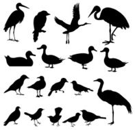 Silhouette of Birds (vector Set#2) seamless background