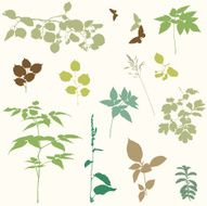 Floral Design Collection