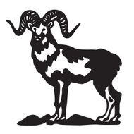 ram - black vector silhouette