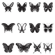 butterflies black silhouettes on white background vector