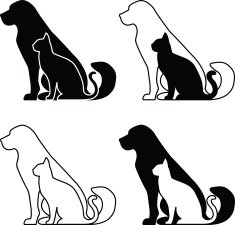 Cats And Dogs N5