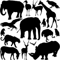 Zoo Animals Silhouette Series N2