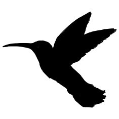 Hummingbird N12