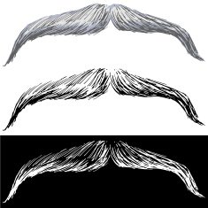 Moustache N2