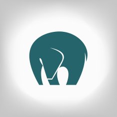 emblem of an elephant on a light background