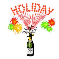 bottle of champagne and holiday inscription-firework N2