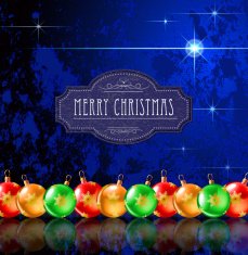 christmas blue star N2