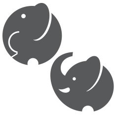 Original elephants N2