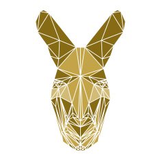 polygonal abstract kangaroo isolated on a white background